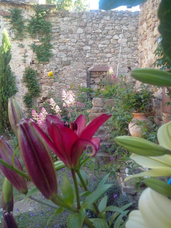 Bed and Breakfast Le Clos De La Source à Le Bousquet-d'Orb Extérieur photo